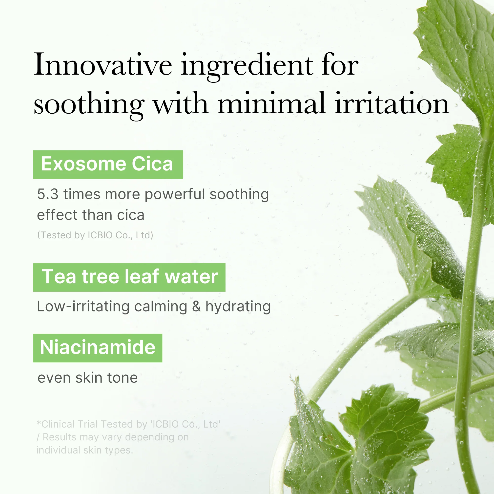 [GIFT] Exosome Cica Calming Toner Pads - Image 3